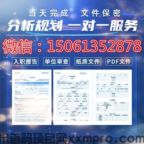 网络项目