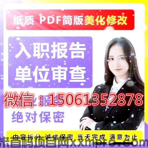 网络项目
