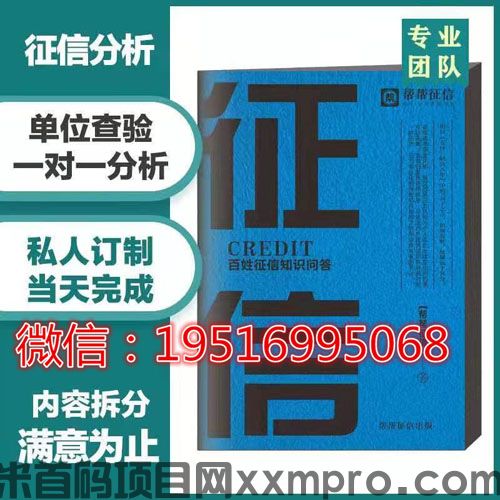 网络项目