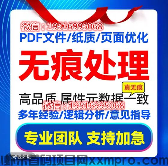 网络项目