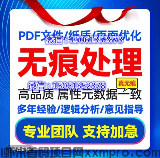 网络项目