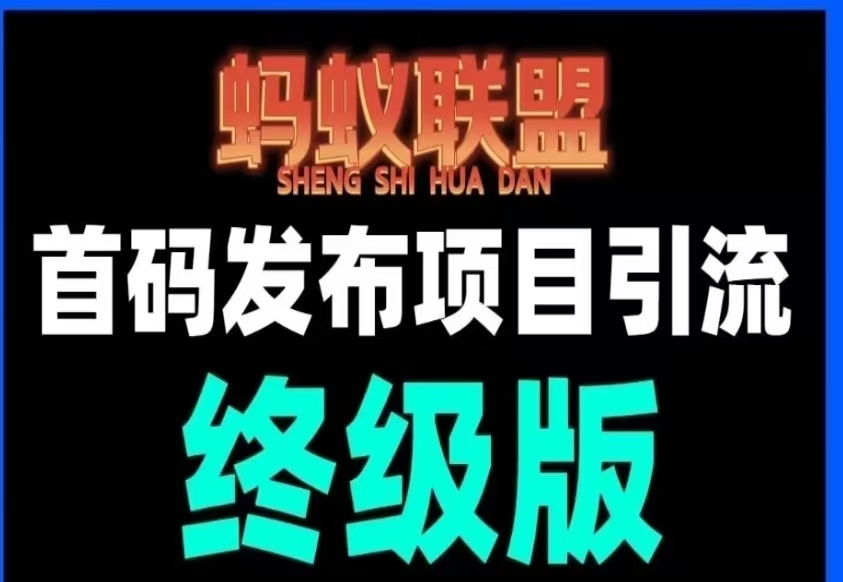 网络项目