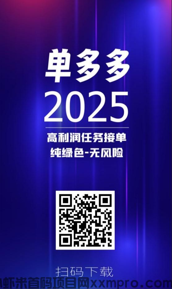 网络项目